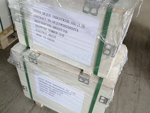 Argentina Electric Chain Hoist Project