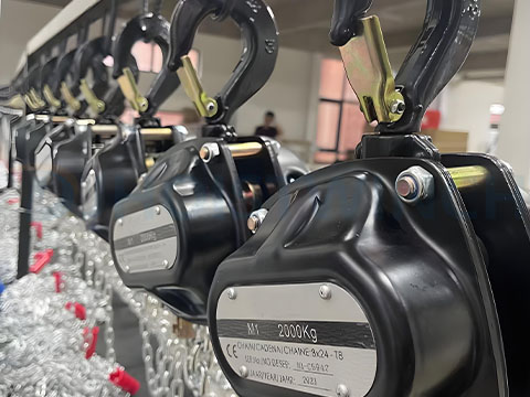 Stage Hoist