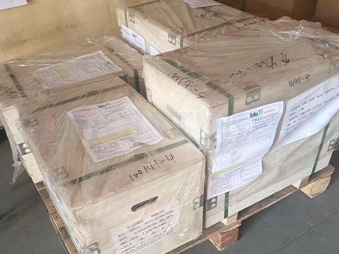 Trolley Chain Hoists To Brazil