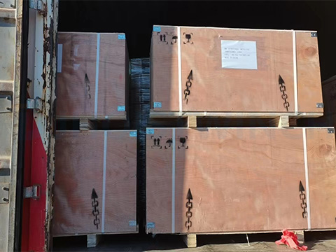 Chain Electric Hoist Delivery