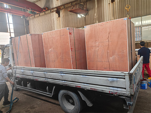 5 Ton European Electric Wire Rope Hoist  Shipped To Serbia