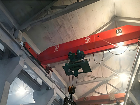 Wire Rope Hoist For Metallurgical Environments