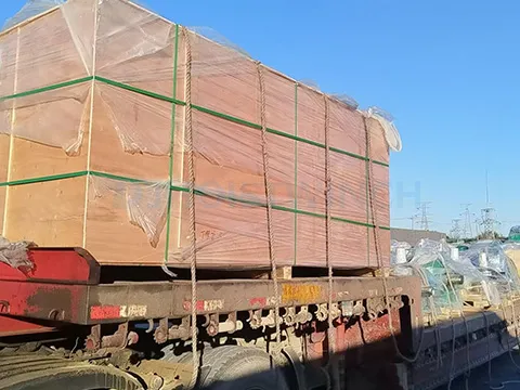 Brazil 20T Electric Chain Hoists Project