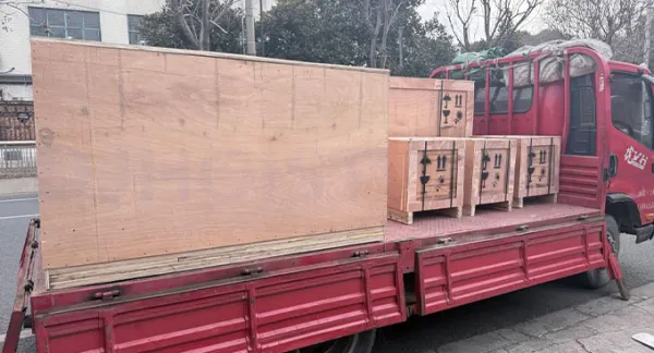 Indonesia Lifting Hoist Project