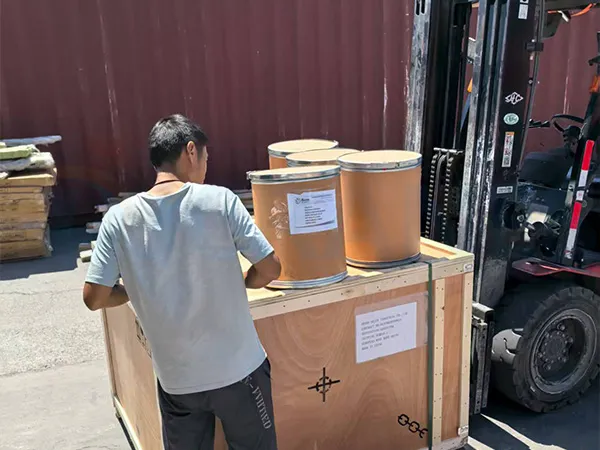 Argentina 2 Ton European Wire Rope Hoist Project