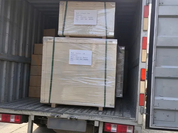 10 Ton Electric Trolley Chain Hoists To Tanzania